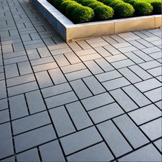 a bench sitting on the side of a brick road next to a garden filled with green plants