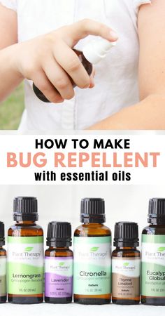 Make your own DIY essential oil bug spray to keep insects away without your having to worry about harsh chemicals! This all-natural homemade recipe blends citronella, lemongrass, peppermint, and eucalyptus oils to keep mosquitoes, flies, and pests from biting. homemade summer fun Peppermint Essential Oil Uses, Essential Oil Bug Spray, Essential Oil Spray Recipes, Homemade Bug Spray, Diy Bug Spray, Plant Therapy Essential Oils, Natural Repellent, Natural Bug Repellent