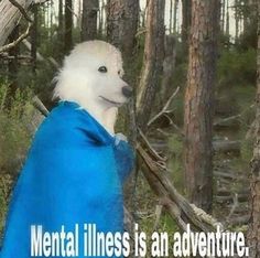 a white dog wearing a blue blanket in the woods with a caption that reads, mental stillness is an adventure