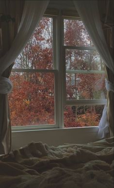 a bedroom with a large window that has curtains on it and fall trees outside the window