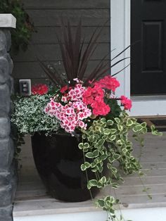 some flowers are sitting in a large black pot on the front porch, next to a door