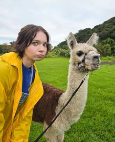 a woman in yellow jacket standing next to an llama