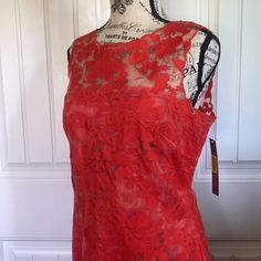 Gianni Bini Dress Red Lace Lined Hidden Back Zipper Rich And Elegant Red Sheer Dresses For Spring, Red Sheer Mini Dress For Spring, Red Sheer Cocktail Dress, Red Lace Mini Dress For Spring, Gianni Bini, Red Lace, Dress Red, Red Dress, Colorful Dresses