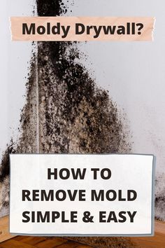 moldy drywall? how to remove mold simple and easy