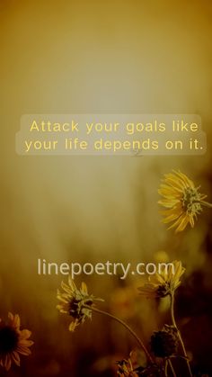 sunflowers with the words, attack your goals like your life begins on it