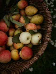 a wicker basket filled with apples and pears next to flowers in the grass