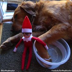 an elf laying on the floor next to a dog