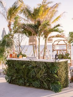 an outdoor bar with plants and bottles on the table in front of water, sand and palm trees