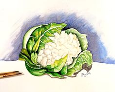 a drawing of a head of cauliflower next to two pens on a table