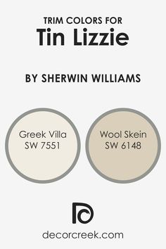 some white and black business cards with the words tim colors for tin lizie by shewin williams