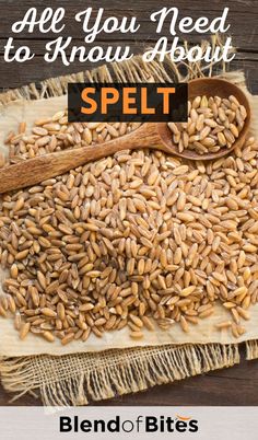 a wooden spoon sitting on top of a pile of grain next to an orange and white sign