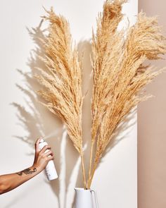 a person is holding a spray bottle near a vase with some dry grass in it