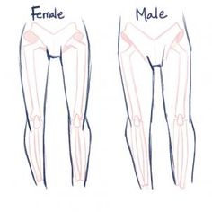 the female and male legs are shown in this drawing, which shows how to draw them