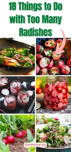 18 Things to Do with Too Many Radishes