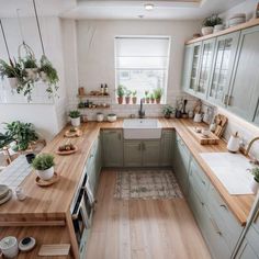 the kitchen is clean and ready to be used for cooking or baking, with plants in pots on the counter