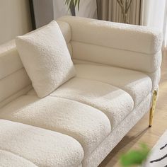 a white couch sitting on top of a hard wood floor next to a potted plant