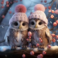 two owls wearing knitted hats sitting on a branch