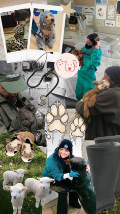 collage of photos with dogs, cats and people in green coats on the ground