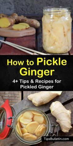 how to pickle ginger 4 tips and recipes for pickled ginger