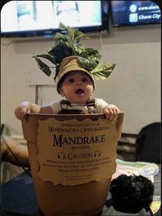 a baby sitting in a potted plant with a sign on it's head