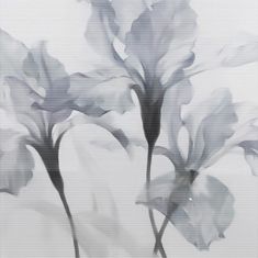 three flowers are shown in black and white, with the background blurry to them