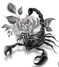 a scorpion with roses on it's back and leaves around its neck, in black ink