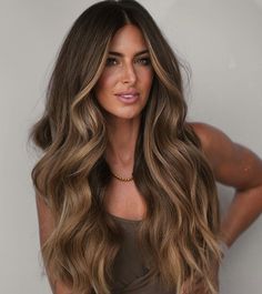 Fall Hair Colour, Highlights Brown Hair Balayage, Fall Hair Colors For Blondes, Sunkissed Hair Brunette, Hair Colors For Blondes, Honey Brown Hair, Medium Brown Hair