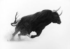 taureau en mouvement, image, stock.xchng, one, mammal, bull, cattle, winter, animal, snow, nature, cow, horn, livestock, wildlife, art, splash, motion, side view, action energy Taurus Bull Art, Bull Reference, Bull Art Drawing, Bull Aesthetic, Animals In Motion, Bull Artwork, Pbr Bull Riding, Bull Pictures, Bull Tattoo