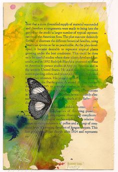 an altered photograph of a butterfly flying over a book page with words written in it