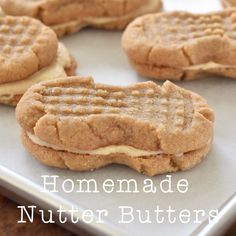 homemade peanut butter sandwich cookies on a cookie sheet with the words homemade nutter butters