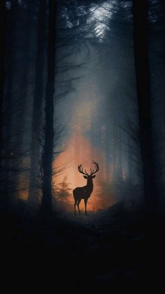 a deer standing in the middle of a forest at night with its antlers glowing