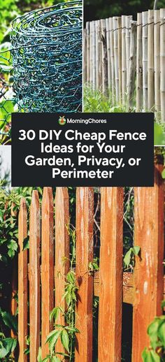 the fence is surrounded by many different types of plants and shrubs, with text overlay that reads 30 diy garden fence ideas for your garden privacy or perimeter