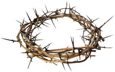 a crown of thorns on a white background