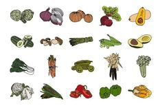 an assortment of vegetables on a white background