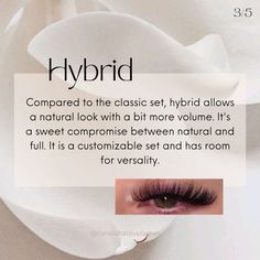 Hybrid Lash Extensions Quotes, New Lash Tech Quotes, Eyelash Extensions Quotes Posts, Lash Extensions Marketing, Lash Business Post Ideas, Neutral Aesthetic Lash Tech, Lash Tech Instagram Usernames, Eyelash Extension Posts