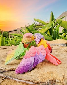 two colorful birds sitting on top of each other in the sand next to some plants