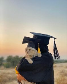 a cat in a graduation cap and gown is held by a person wearing a tassel