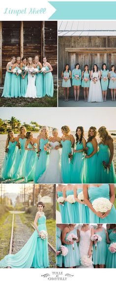 the bride and her bridal party are posing for pictures in turquoise dresses with white bouquets