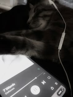 a cat laying on top of an electronic device