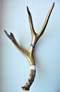 a gold deer's antlers with white tips on the top and bottom part