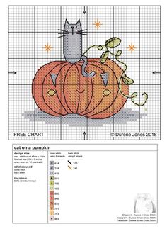 a cross stitch pattern for a pumpkin with a cat sitting on it's head