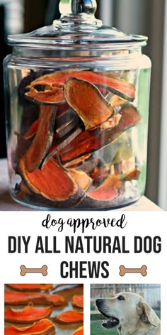 dog approved diy all natural dog chews in a jar with text overlay