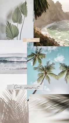 some palm trees and the ocean in different shades of blue, green, white and beige