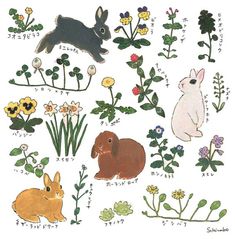 an image of rabbits and flowers in japanese