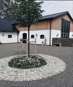 a small tree is in the middle of a circular stone area with flowers around it