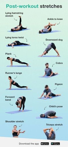 Post-workout stretches Full Body Stretching Routine, Post Workout Stretches, Stretching Routine, Full Body Stretch, Stretch Routine, Yoga Online, Body Stretches, Yoga Exercises