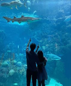 two people standing in front of an aquarium looking at sharks and other sea creatures on display