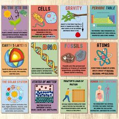 the poster shows different types of cell phones and their functions in each type of cell phone