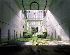 an abandoned building with lots of green plants growing on the floor and walls, along with concrete pillars