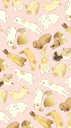 an image of many rabbits on a pink background